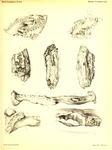 n232_w1150