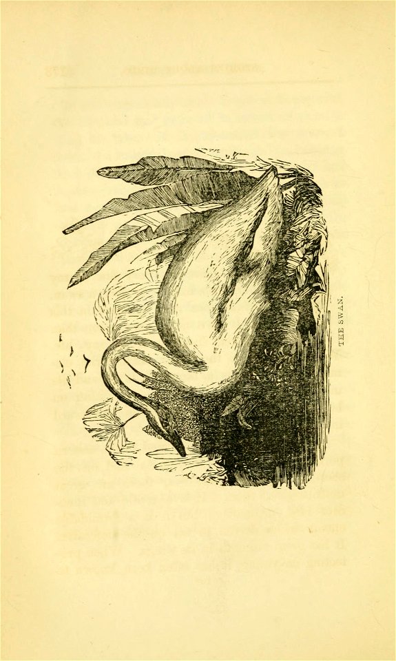 n179_w1150