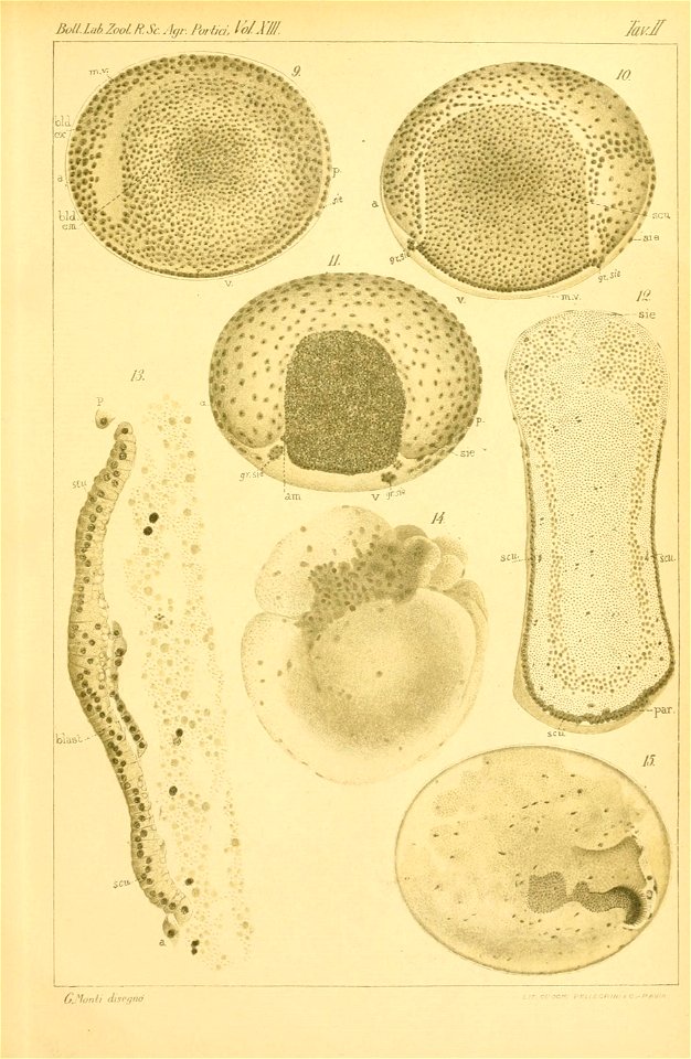 n376_w1150
