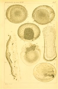 n376_w1150