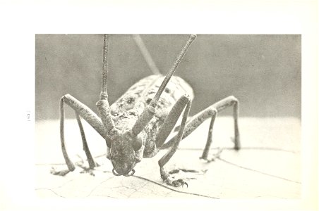 n139_w1150