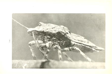 n107_w1150