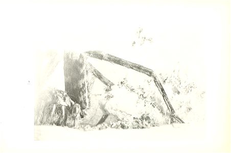 n41_w1150