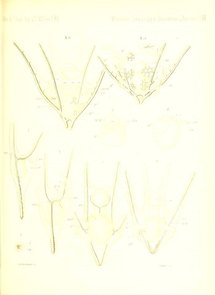 n702_w1150
