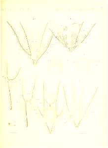 n702_w1150