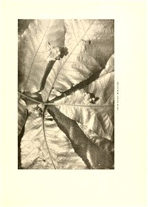 n374_w1150