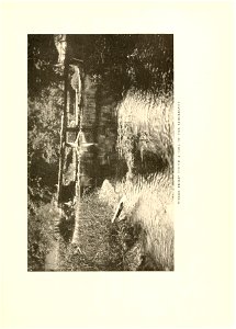 n112_w1150