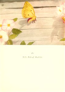 n14_w1150