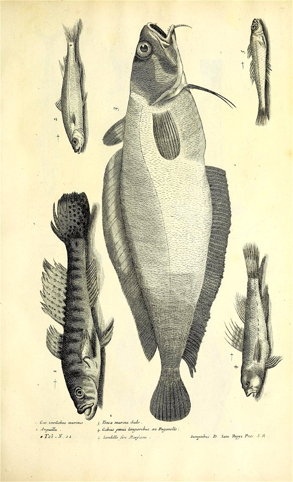 n408_w1150