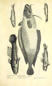 n408_w1150