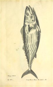 n372_w1150