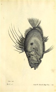 n592_w1150
