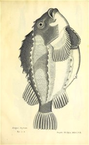 n406_w1150