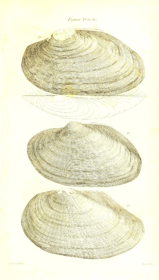 n424_w1150