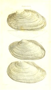 n424_w1150