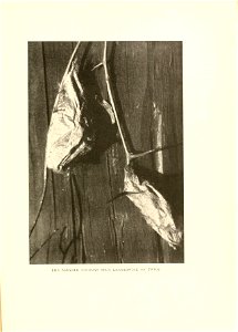 n104_w1150