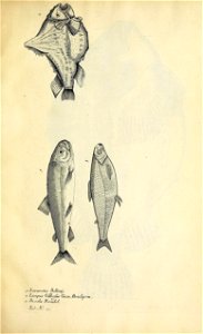 n404_w1150