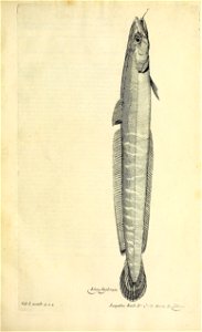 n366_w1150