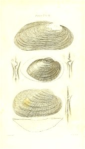 n422_w1150