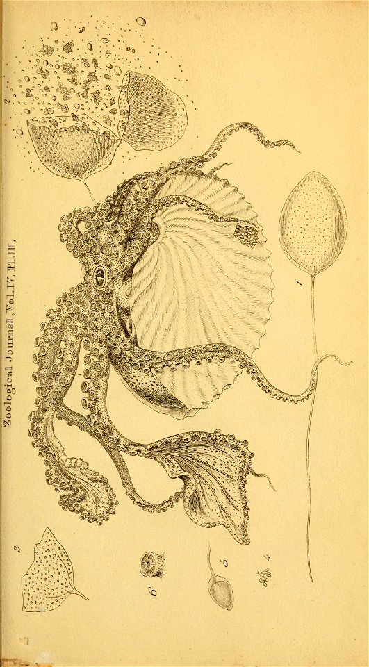 n544_w1150