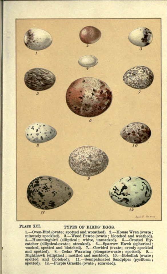 n362_w1150