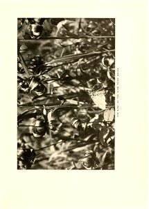 n360_w1150