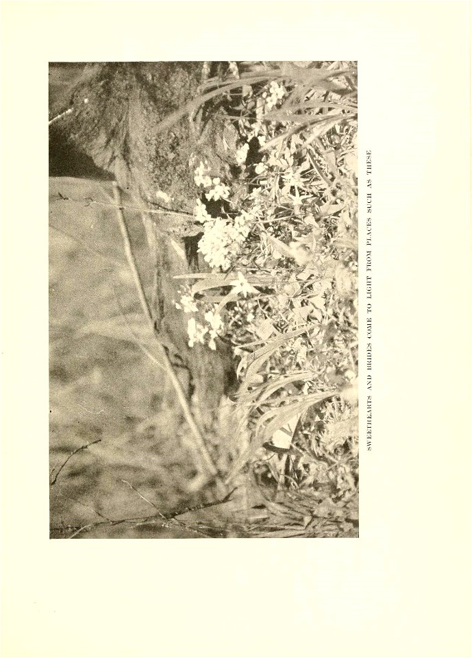 n256_w1150
