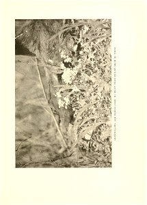 n256_w1150