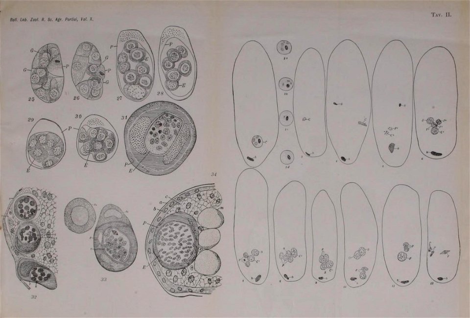 n104_w1150