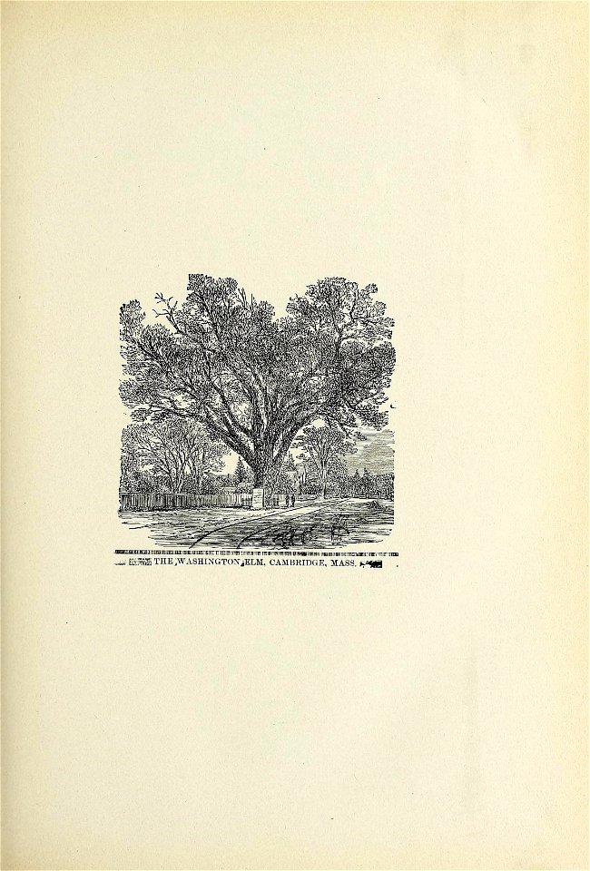 n158_w1150