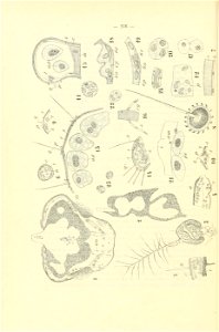 n289_w1150