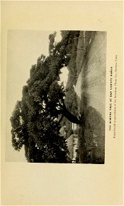 n334_w1150