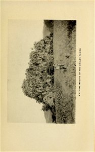 n46_w1150
