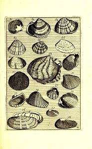 n696_w1150