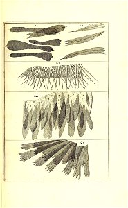 n496_w1150