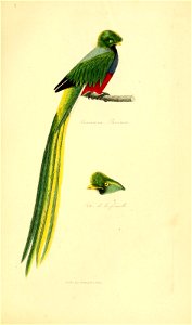 n698_w1150
