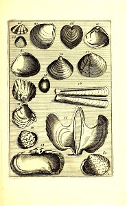 n694_w1150