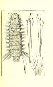 n524_w1150