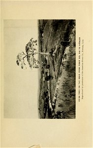 n36_w1150