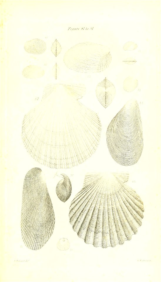 n426_w1150