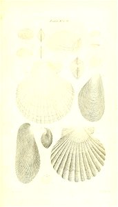 n426_w1150