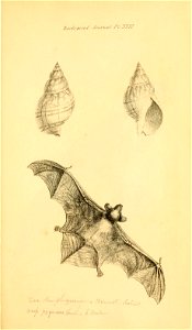 n682_w1150