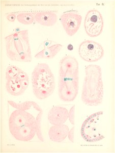 n128_w1150