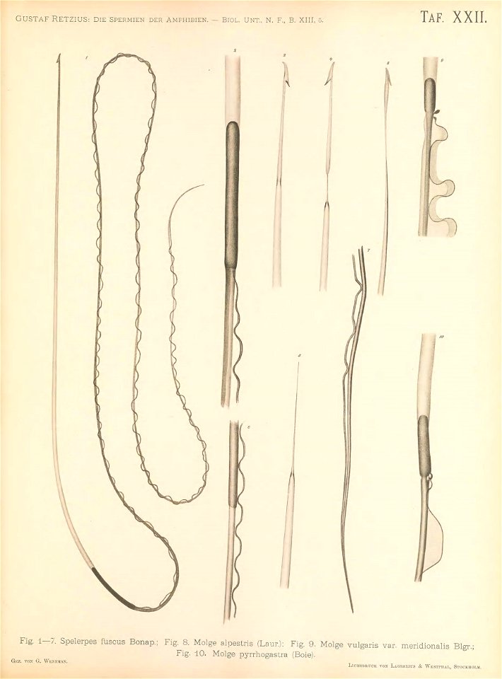 n228_w1150