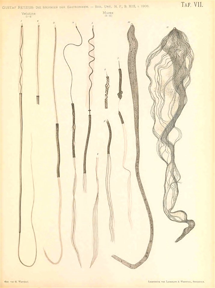 n196_w1150