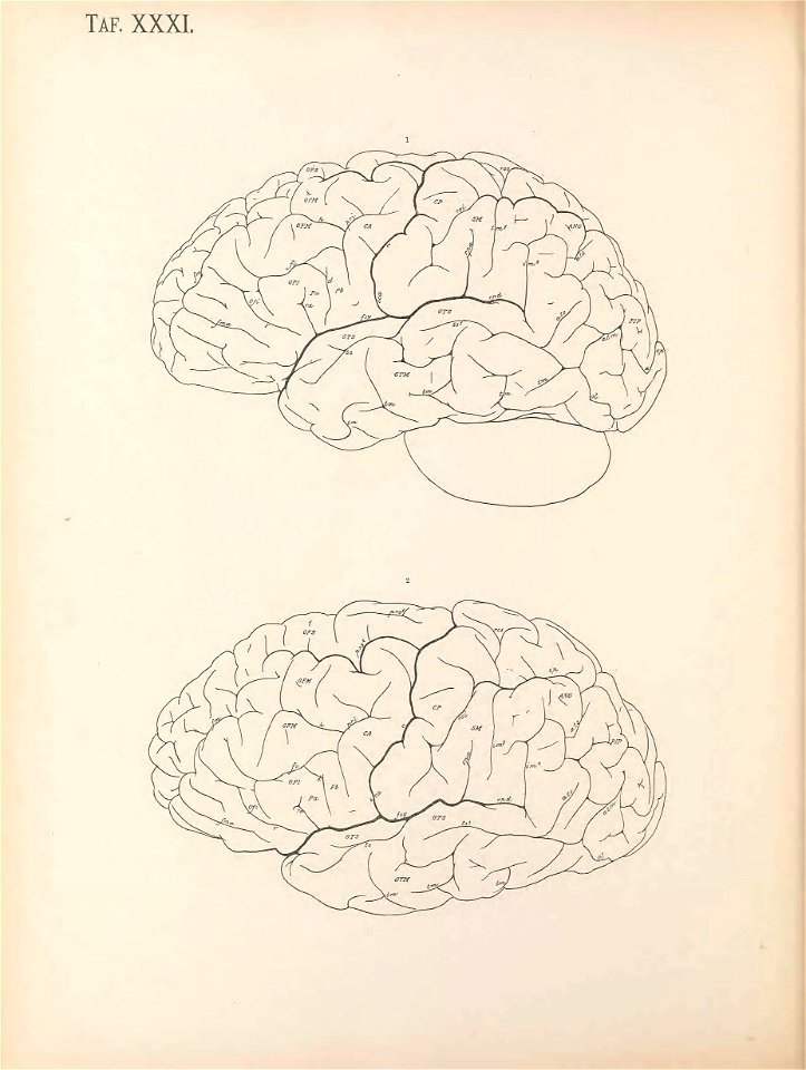 n209_w1150