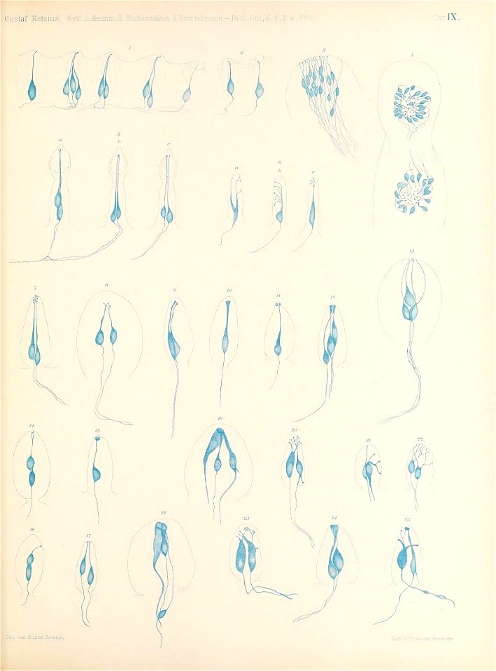 n118_w1150