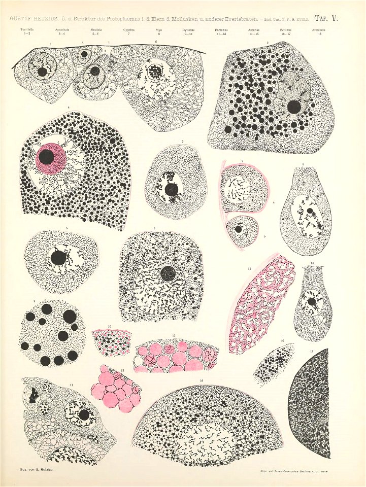 n120_w1150