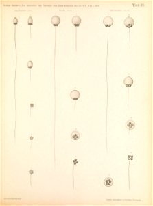 n120_w1150