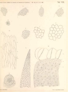 n114_w1150